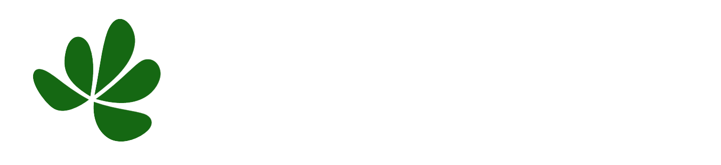 Little Forest logo